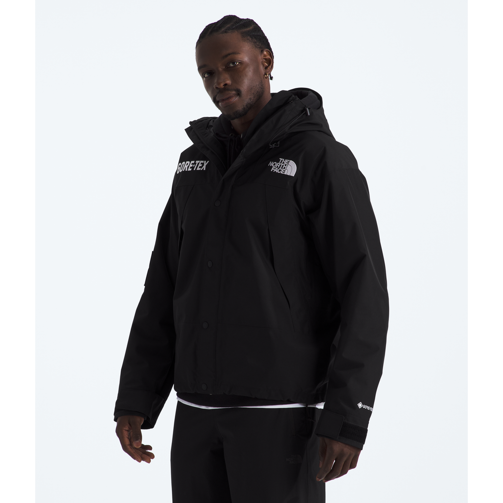 The North Face Men's GORE-TEX Mountain Jacket