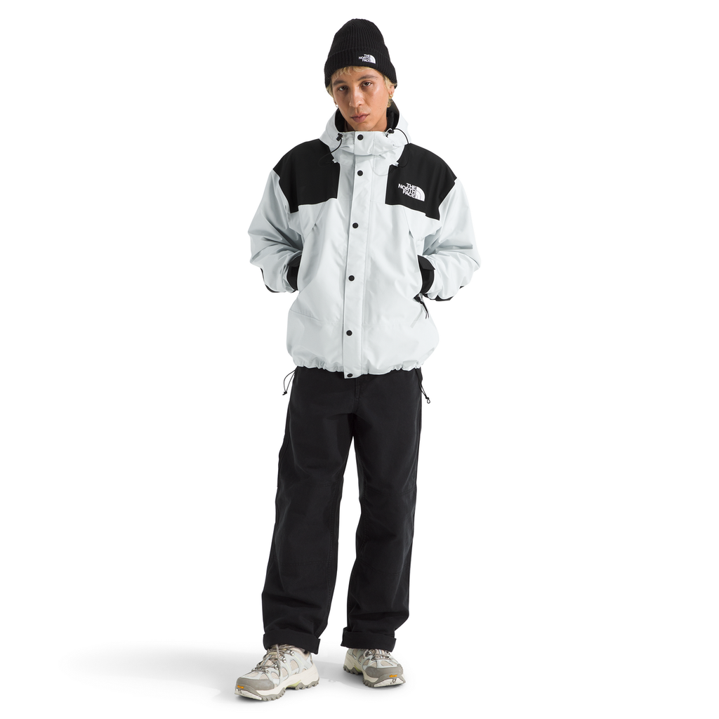 The North Face Men's GORE-TEX Mountain Jacket