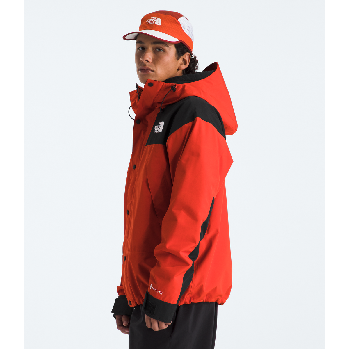 The North Face Men's GORE-TEX Mountain Jacket