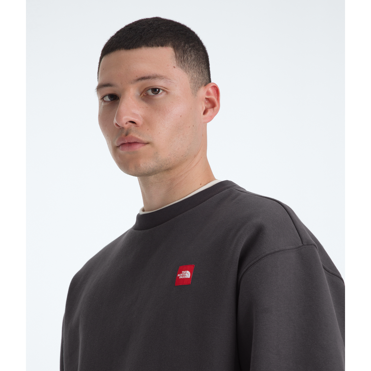 The North Face Men's Red Box Crewneck Sweatshirt in Obsidian