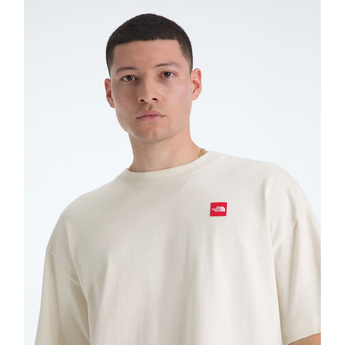 The North Face Men's Red Box Short-Sleeve T-Shirt in White Dune