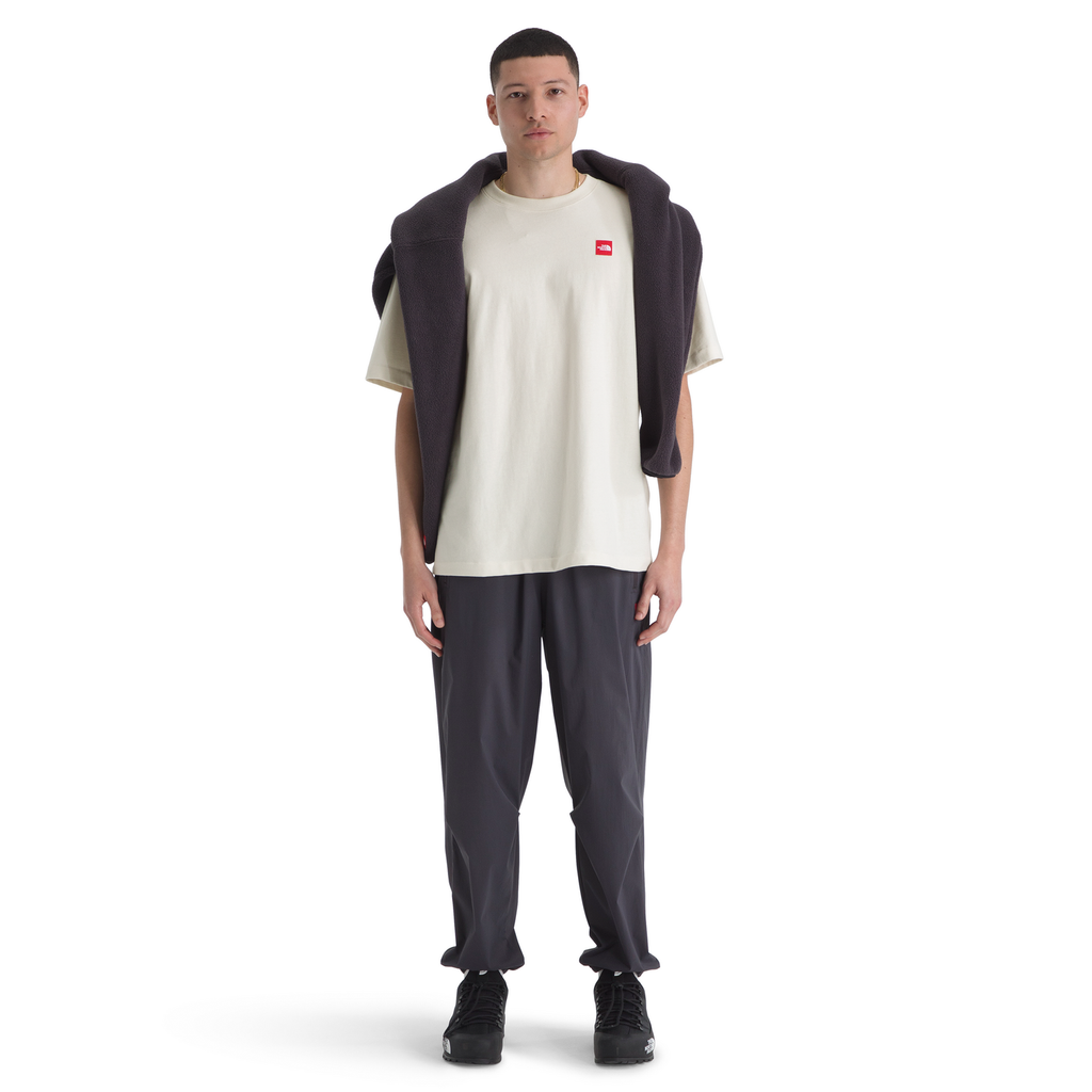 The North Face Men's Red Box Short-Sleeve T-Shirt in White Dune
